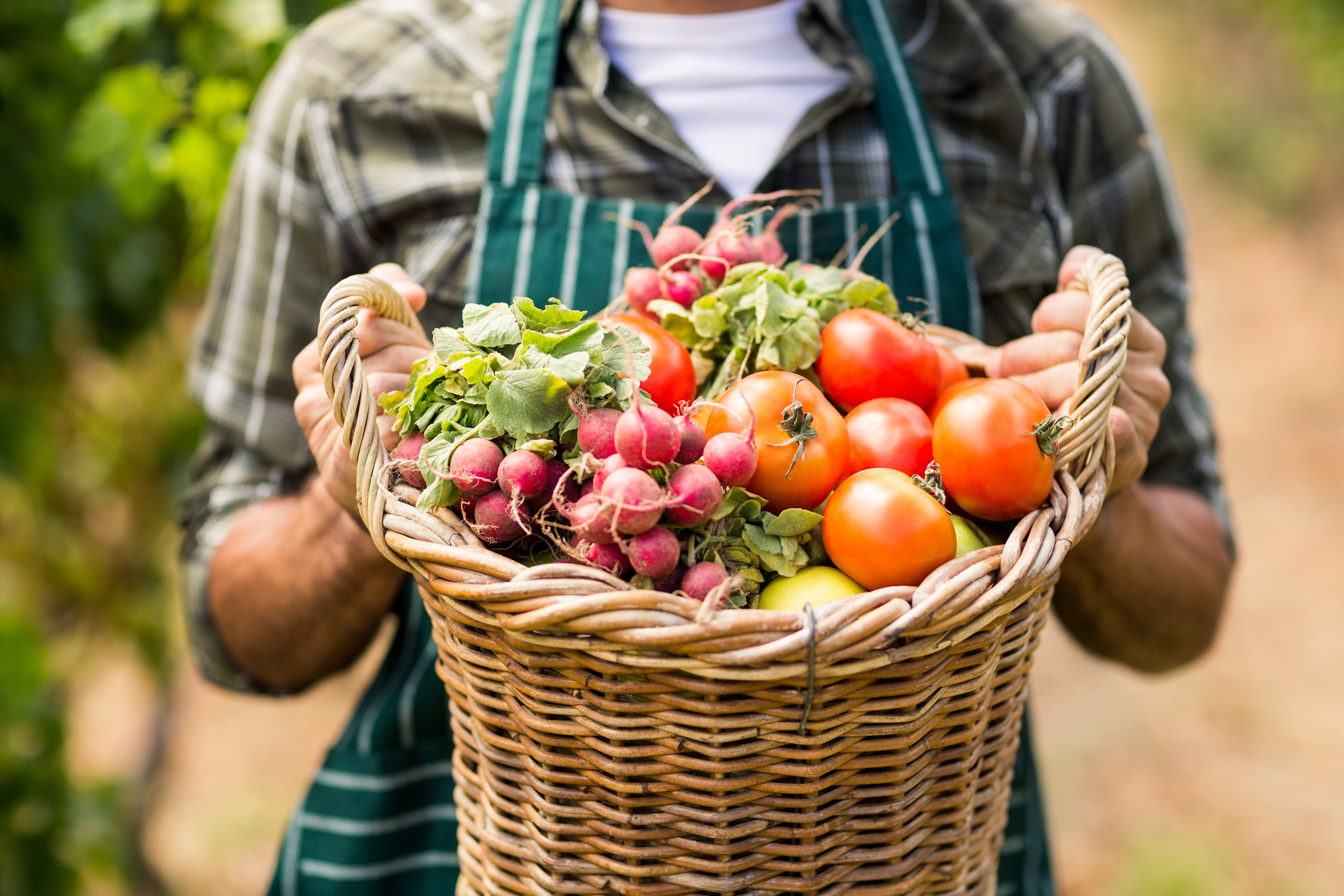 Projet Le fil des bons produits